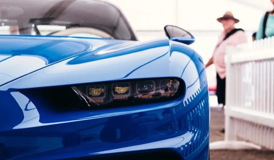 5 Benefits of a Bird Dog Program in Car Sales